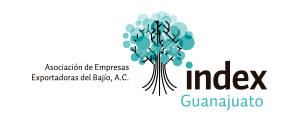 INDEX Guanajuato